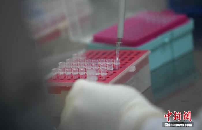 资料图:核酸检测。 中新社发 武敏 摄