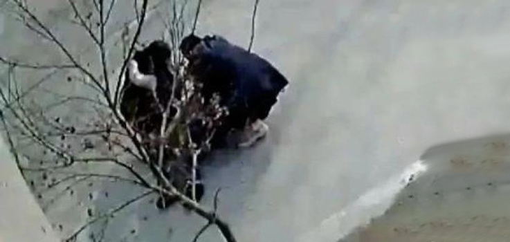 检察日报：&ldquo;倒地老人&rdquo;扶不扶？这事儿不能只靠监控