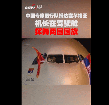 点击查看大图