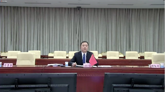 国家卫健委卫生应急办公室（突发公共卫生事件应急指挥中心）主任孙阳&nbsp;&nbsp; WHO视频截图