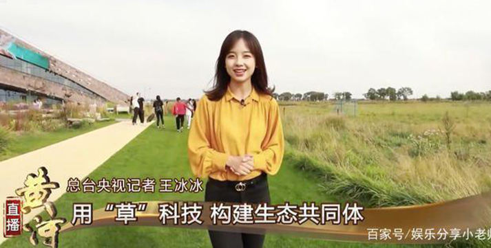 长得越好看收入越高？ | 王冰冰爆火背后的2个颜值真相
