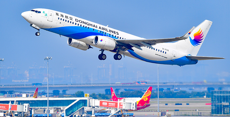 东海航空处罚决定：机长和乘务员终身停飞，三名副总裁被免