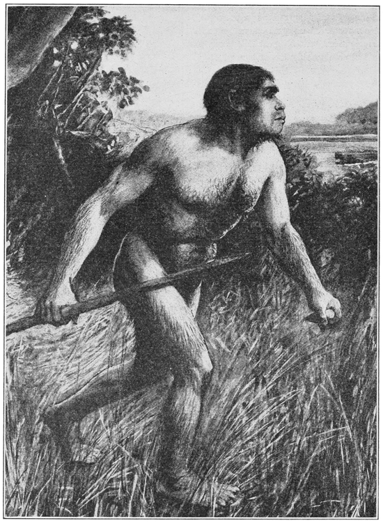 　道氏曙人想象图 |&nbsp; Wikimedia Commons