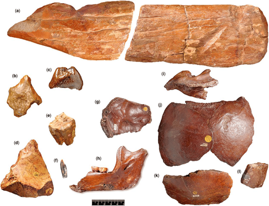 　　道森发现的人类头骨碎片和一些工具 | Dean et al。 /&nbsp;Geological Society London Special Publications （2015）