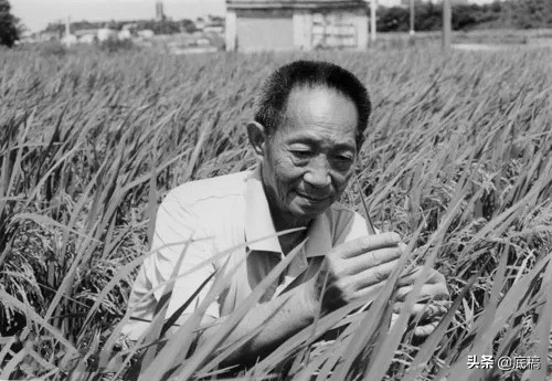 袁隆平遗体告别仪式或将在明阳山殡仪馆举行 殡仪馆馆长:正在筹备中