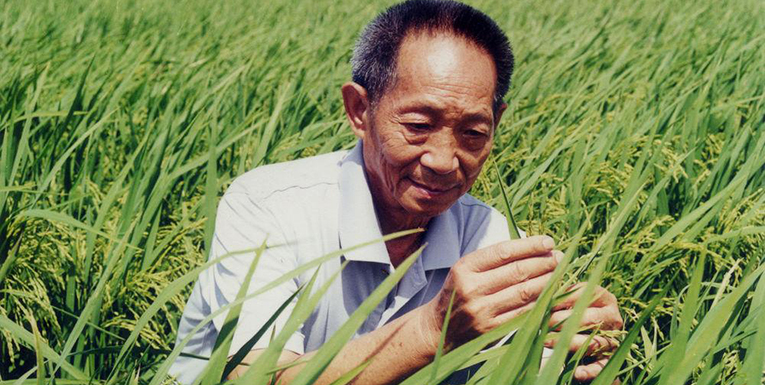 袁隆平保健医生：袁老系在三亚基地摔了一跤，正在医院治疗 