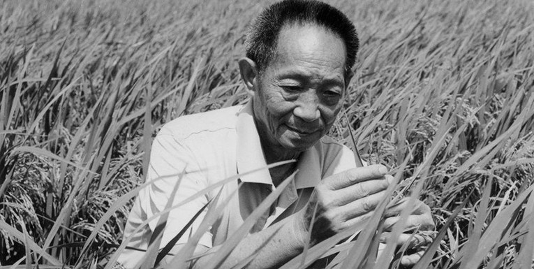 哀悼丨袁隆平院士逝世