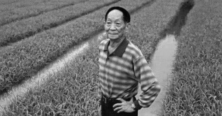 &ldquo;杂交水稻之父&rdquo;袁隆平院士走了，留给我们无尽的思念