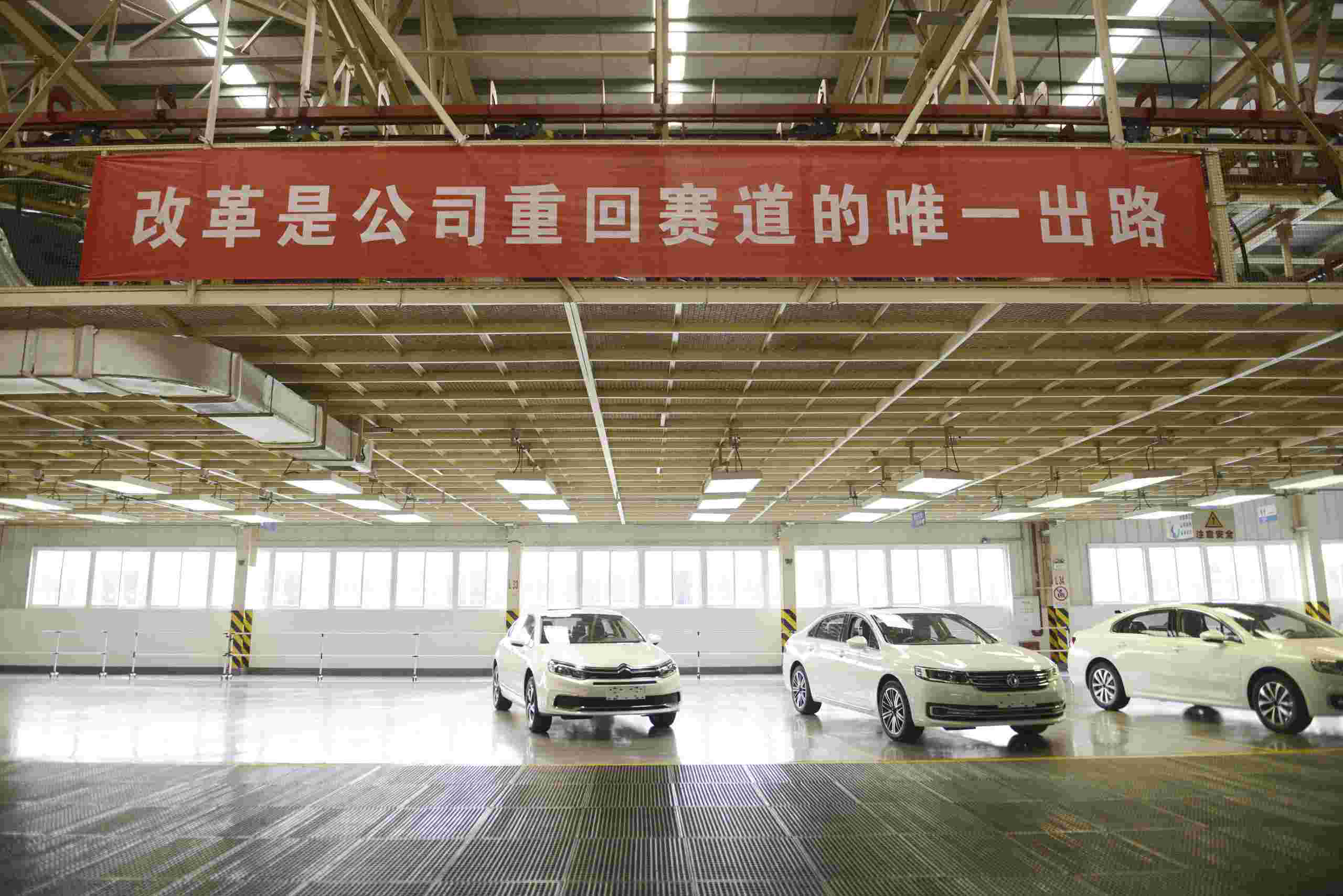 点击查看大图
