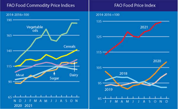 联合国粮农组织食品价格指数走势图(以2014-2016年均值为基准)