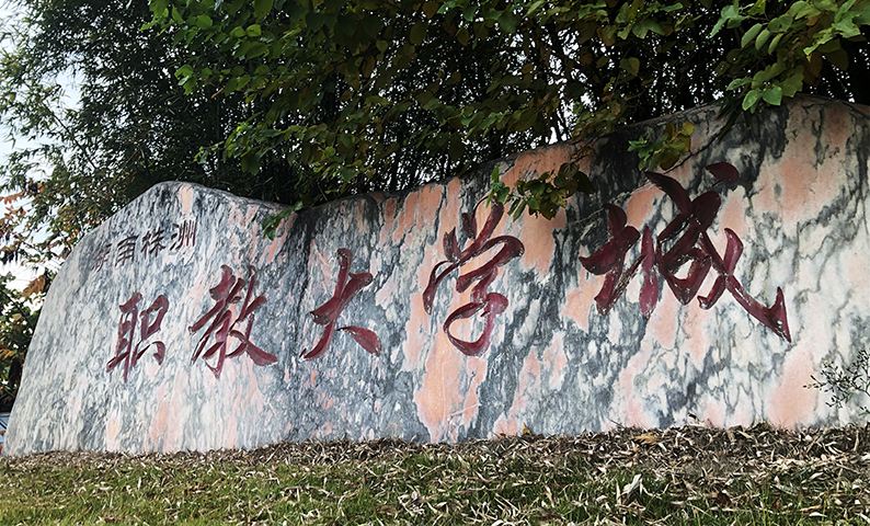 云龙的未来，或将是株洲的未来！