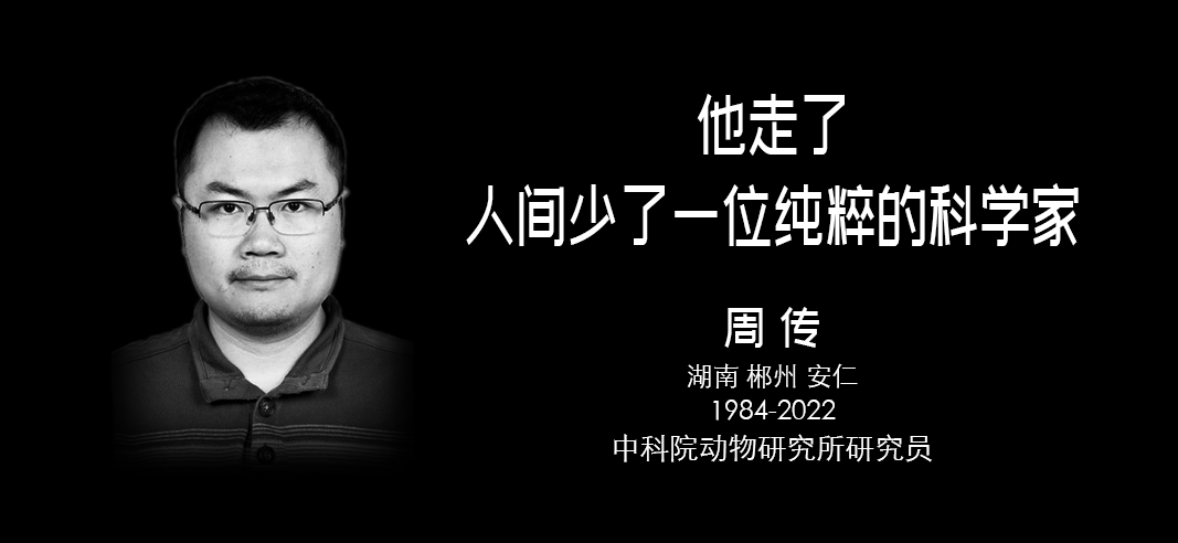 他走了：人间少了一位纯粹科学家！