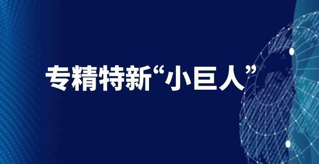 长沙 国家级&ldquo;小巨人&rdquo;企业总量居省会城市第四