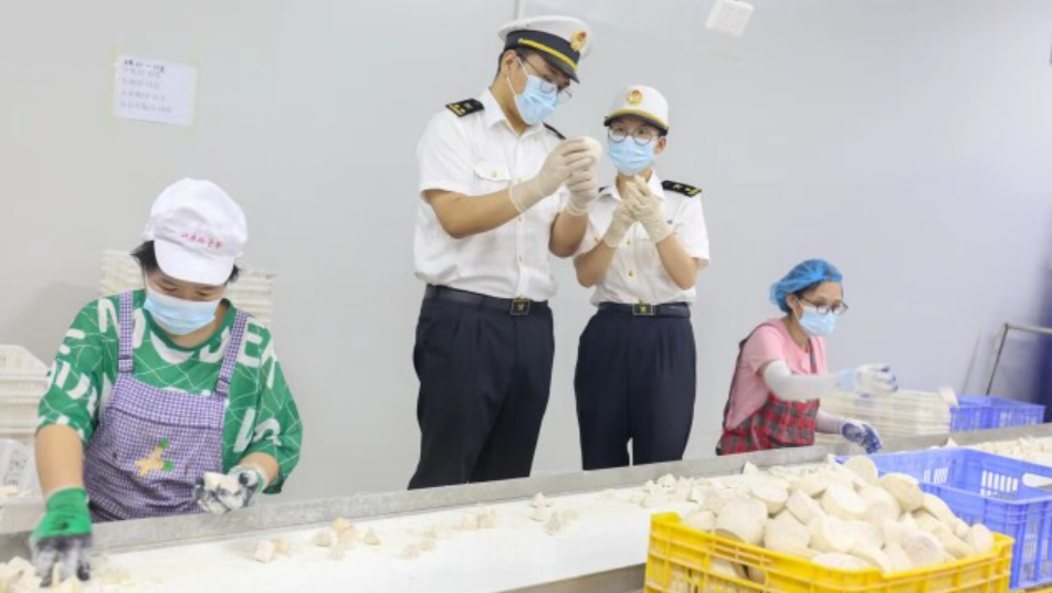 湖南蔬菜畅销&ldquo;一带一路&rdquo; 永州鲜蔬成中东市场&ldquo;新宠&rdquo;
