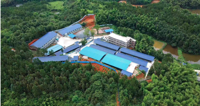 农行湖南分行农户贷款规模过400亿元