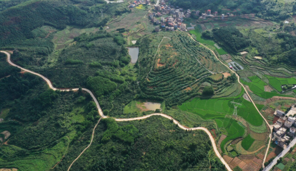 湖南省农村公路总里程达20.3万公里，在全国率先实现&ldquo;组组通&rdquo;