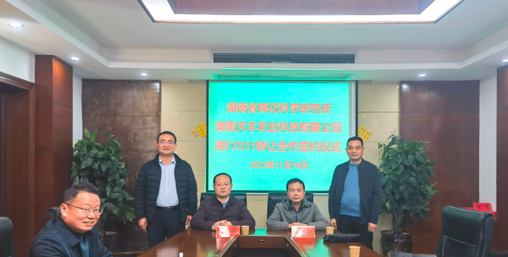 两个宜机棉花新品种实现成果转化 湘棉全程机械化实现突破