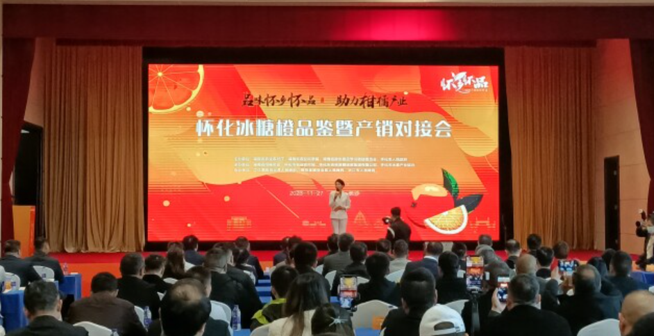 怀化冰糖橙产量全国第一 推销会现场签约3300多万公斤