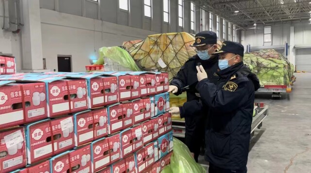 &ldquo;年货&rdquo;水果通关忙 1月长沙机场口岸进口水果144.9吨