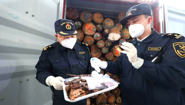 湖南首个进境原木指定监管场地启用满1年