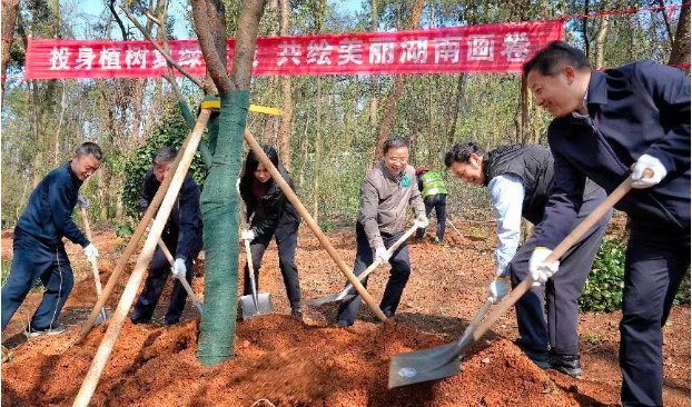 湖南今春营造林任务圆满完成