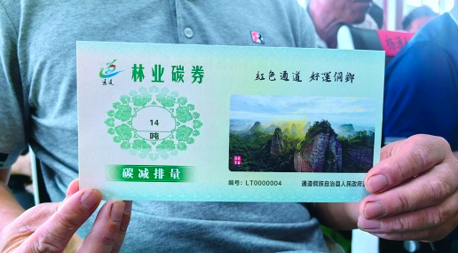空气也能卖钱！怀化4张碳券卖了10万元