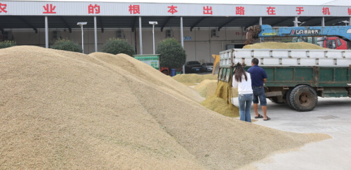 湖南早稻收购全面启动，预约收购全省推广