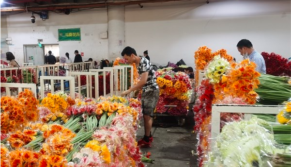 36&mdash;48元/支，长沙花店开卖非洲鲜花