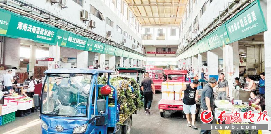 长沙全力守护&ldquo;菜篮子&rdquo; 蔬菜价格预计9月将逐渐回落