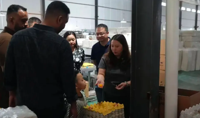 湖南鲜鸡蛋首次出口非洲 全程冷链运输发往吉布提