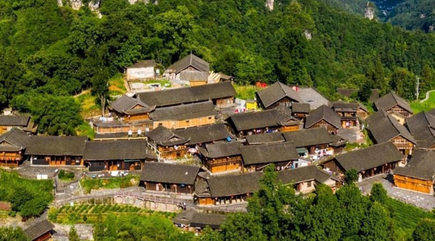 十八洞村560余公顷林地凭碳票获300万贷款