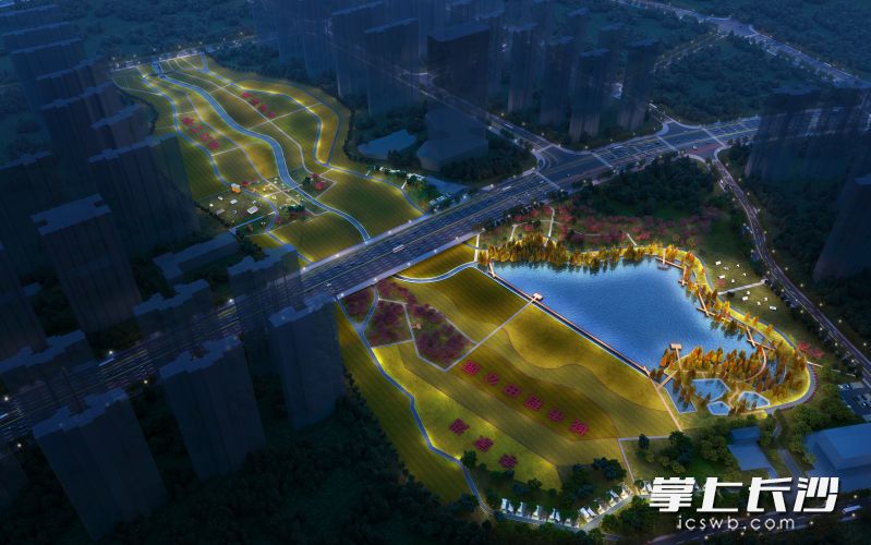 项目夜景效果图。 项目夜景效果图。