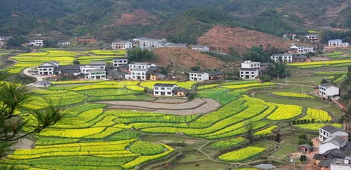 湖南农村宅基地登记颁证明年基本实现，城镇居民农村建房不予登记。