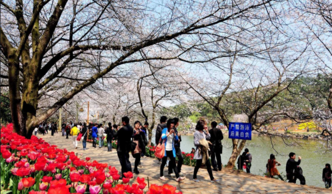 湖南省植物园元旦起免费开放 开放时间延长为早6点至晚9点