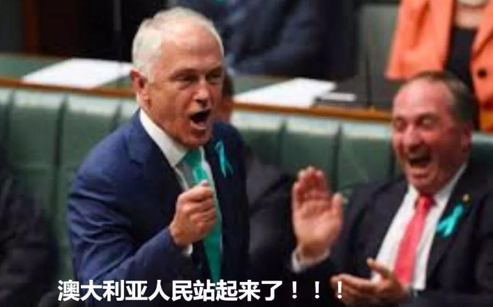 澳大利亚反华记者的无耻 终于轮到台湾人体会了