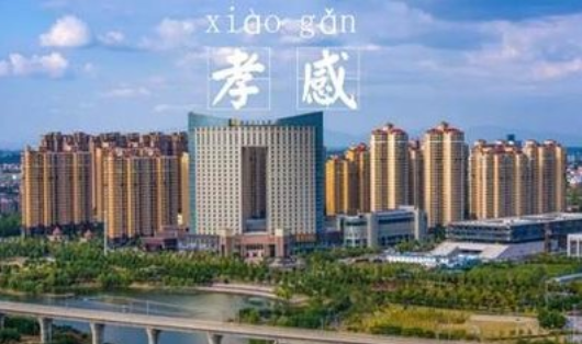 中央：孝感黄冈等地要采取和武汉同等的隔离救治措施