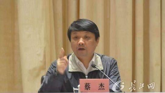 武汉市委原常委、秘书长蔡杰被开除党籍和公职