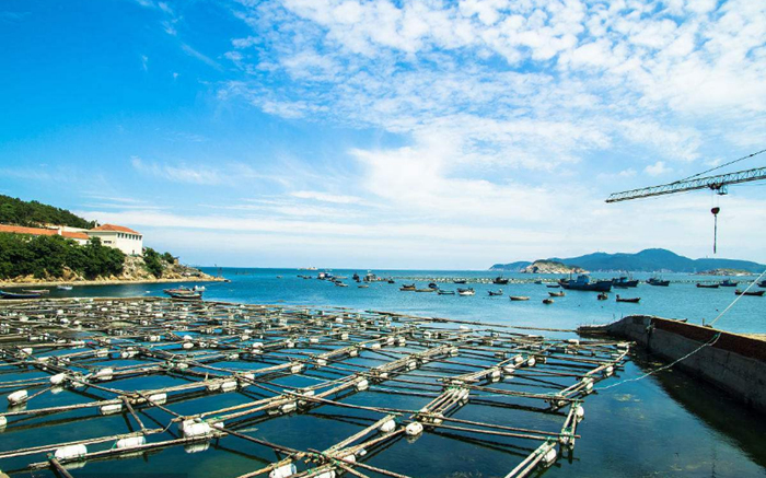 水产养殖造成的水污染如何界定？湖南出台全国首个排放标准