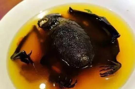 专家表示：禁止食用野生动物不存在&ldquo;黑白名单&rdquo;