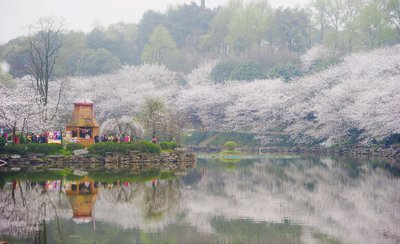 湖南省森林植物园今日恢复开园，每天限5000人次