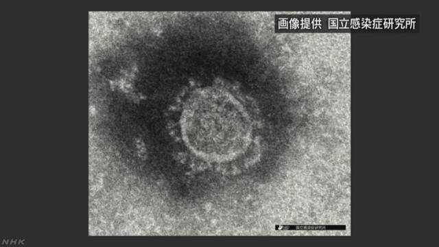 日本单日确诊增幅破纪录 国内累计确诊增至567例