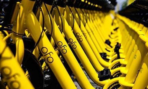 ofo再成被执行人 已为2020年的第19次
