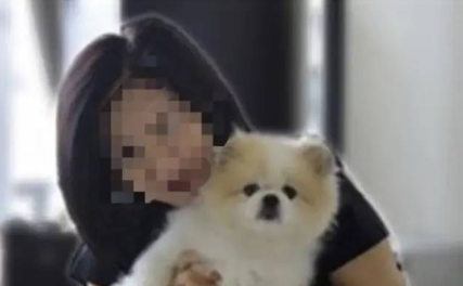 香港第二只狗感染新冠病毒 系全球第二例狗感染个案