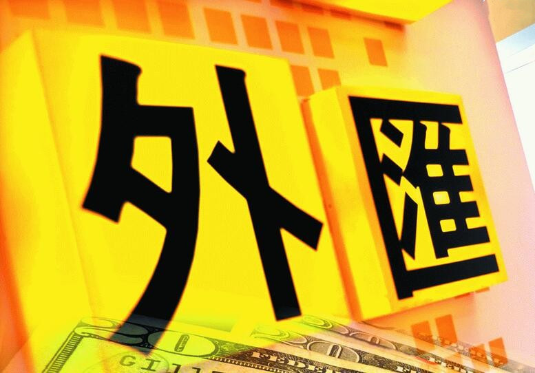 外汇局:2月银行结售汇顺差991亿元 外汇市场总体平稳