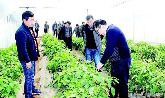 助力新型农业经营主体渡难关 湖南农担撬动54.7亿元支农