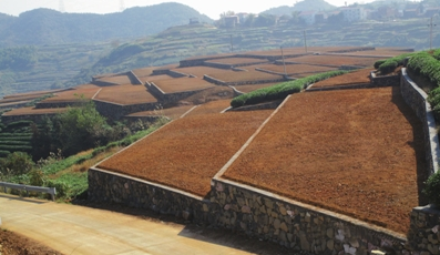 土地管理法实施条例征求意见：赋予地方政府更多用地自主权