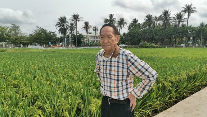 袁隆平：中国不会出现&ldquo;粮荒&rdquo; 完全能够自给自足