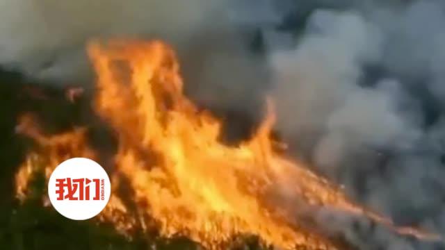 四川凉山通报＂3-28＂森林火灾：11岁男孩点燃树木引发