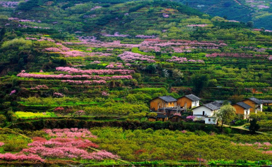 安徽：鼓励进城落户的农村村民自愿有偿退出宅基地