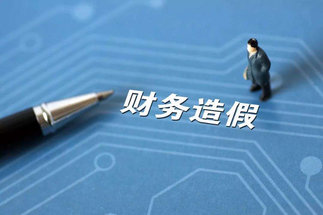 金融委：对造假上市公司、中介机构和个人坚决彻查 严肃处理